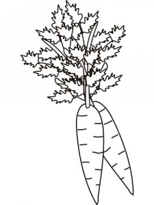 Carrot coloring page 16 - Free printable
