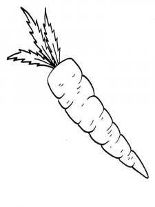 Carrot coloring page 3 - Free printable