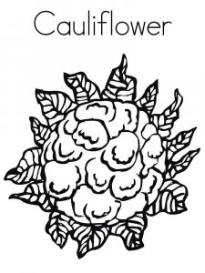 Cauliflower coloring page 3 - Free printable