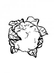 Cauliflower coloring page 4 - Free printable