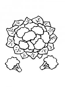 Cauliflower coloring page 5 - Free printable