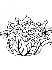 Cauliflower coloring page 8 - Free printable
