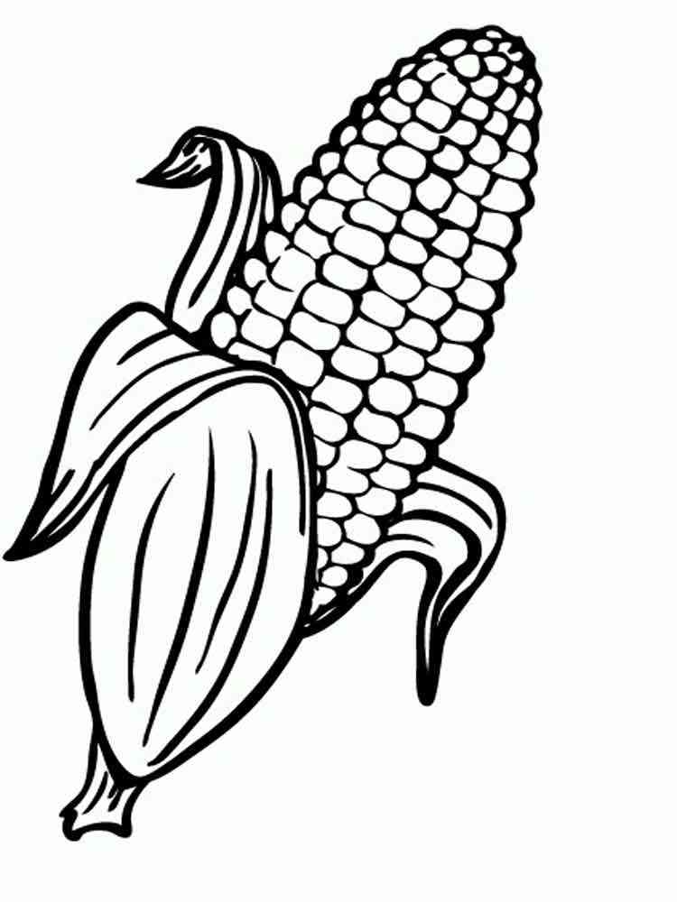 Printable Indian Corn Coloring Page Food Ideas