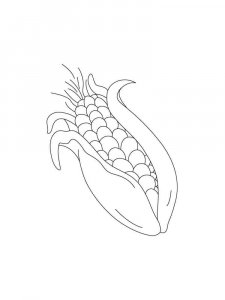 Corn coloring page 13 - Free printable