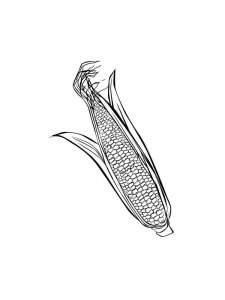 Corn coloring page 17 - Free printable