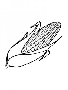 Corn coloring page 20 - Free printable