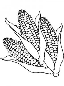 Corn coloring page 3 - Free printable