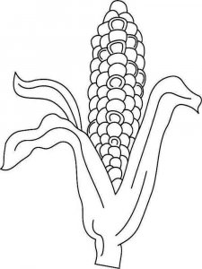 Corn coloring page 6 - Free printable
