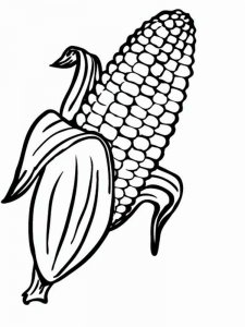 Corn coloring page 7 - Free printable