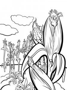 Corn coloring page 9 - Free printable