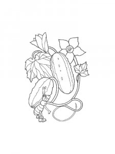 Cucumber coloring page 13 - Free printable