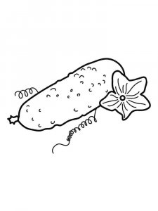 Cucumber coloring page 17 - Free printable
