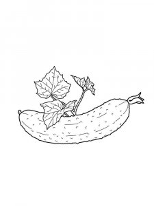 Cucumber coloring page 24 - Free printable