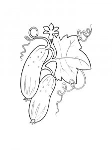 Cucumber coloring page 26 - Free printable