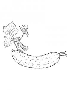 Cucumber coloring page 27 - Free printable