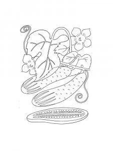 Cucumber coloring page 29 - Free printable