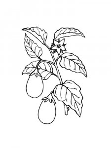 Eggplant coloring page 21 - Free printable