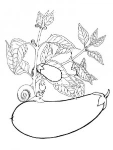 Eggplant coloring page 1 - Free printable