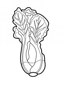 Lettuce coloring page 1 - Free printable