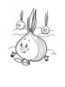 Onion coloring page 15 - Free printable