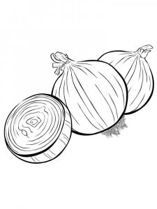 Onion coloring page 10 - Free printable