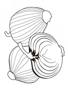 Onion coloring page 12 - Free printable