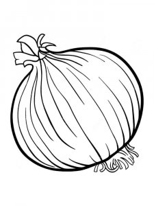 Onion coloring page 5 - Free printable