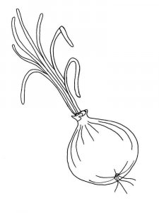 Onion coloring page 7 - Free printable