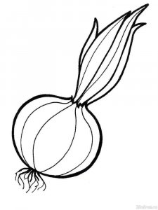 Onion coloring page 8 - Free printable
