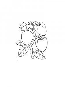 Pepper coloring page 17 - Free printable