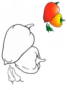 Pepper coloring page 1 - Free printable