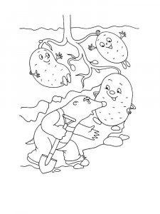 Potato coloring page 29 - Free printable