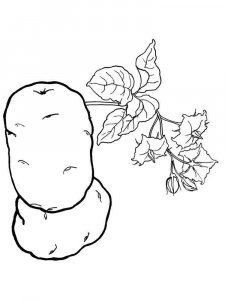 Potato coloring page 9 - Free printable