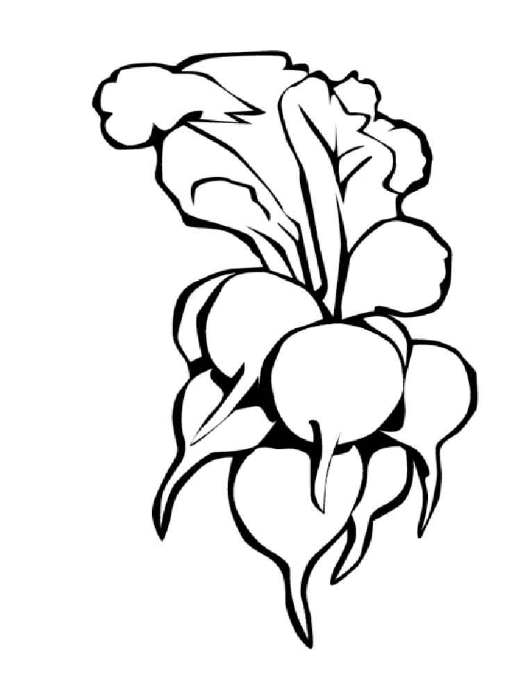 radish coloring pages - photo #1