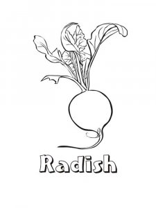 Radish coloring page 8 - Free printable