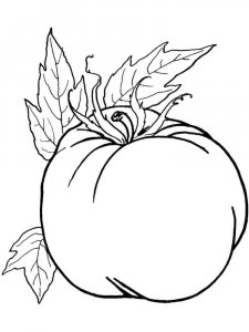 Tomato coloring page 12 - Free printable