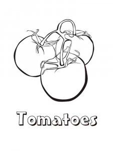 Tomato coloring page 9 - Free printable