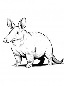 Aardvark coloring page - picture 12
