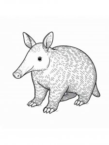 Aardvark coloring page - picture 13