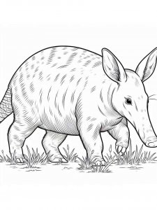 Aardvark coloring page - picture 15
