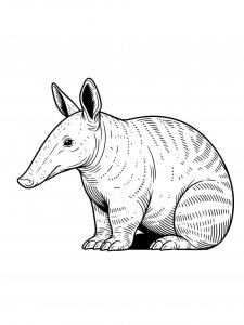 Aardvark coloring page - picture 18
