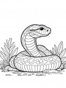 Anaconda coloring page - picture 15