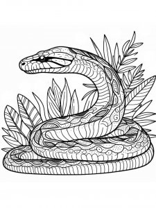 Anaconda coloring page - picture 18