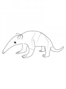 Anteater coloring page - picture 3