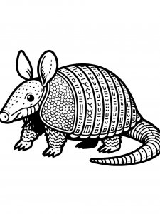Armadillos coloring page - picture 19