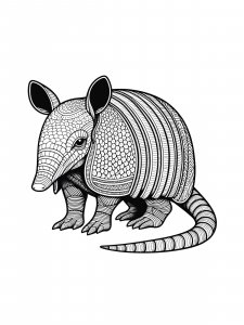 Armadillos coloring page - picture 21