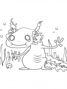 Axolotl coloring page - picture 12