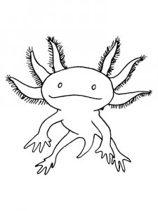 Axolotl coloring page - picture 23