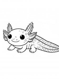Axolotl coloring page - picture 27