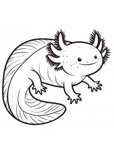 Axolotl coloring page - picture 28